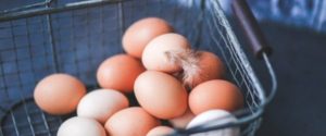 Eggs in 1 basket